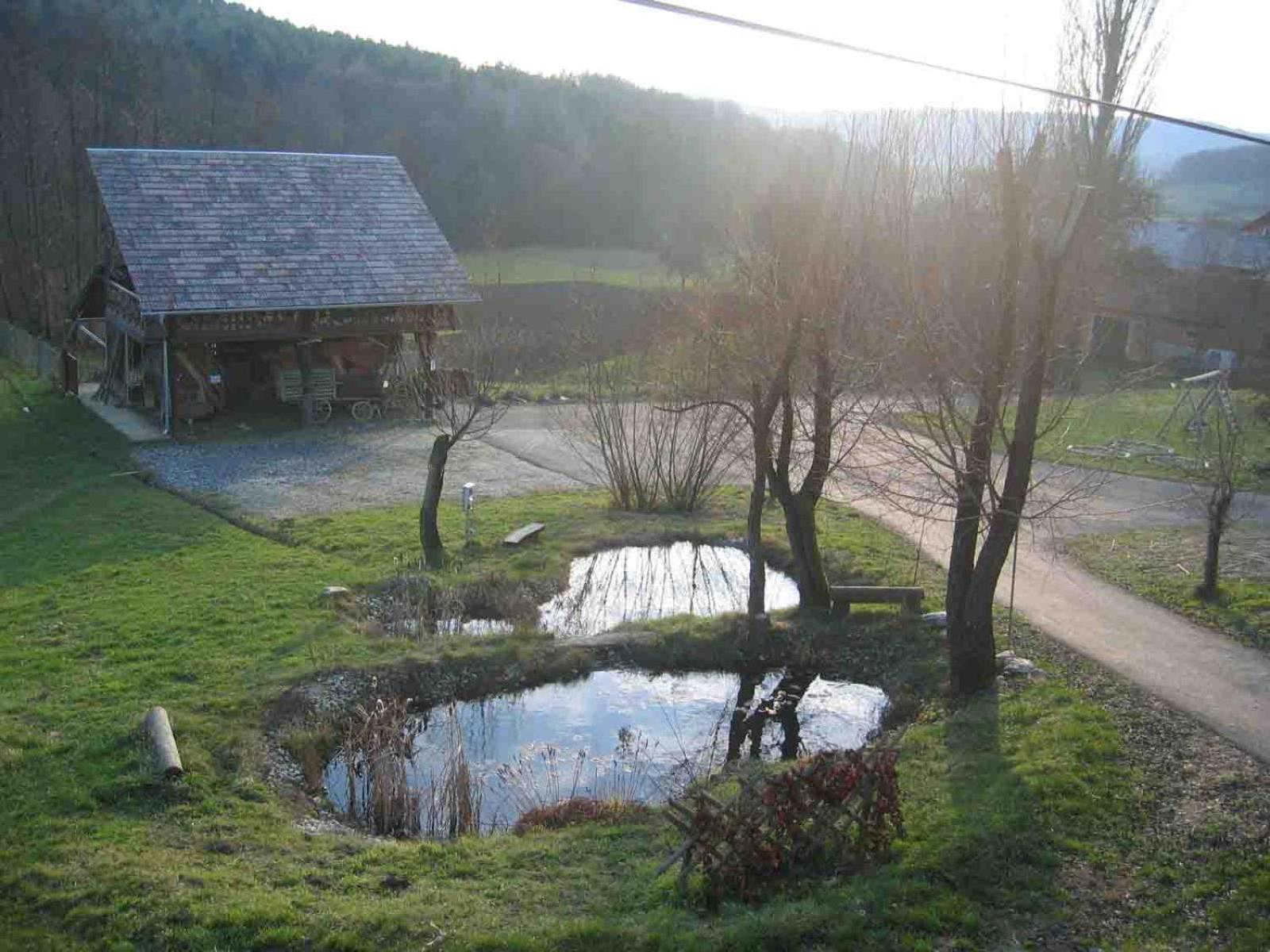 Appartamento Turisticna Kmetija Cebelji Gradic Rogašovci Esterno foto
